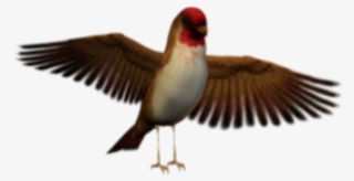 Bird Sticker - Seabird #8448627