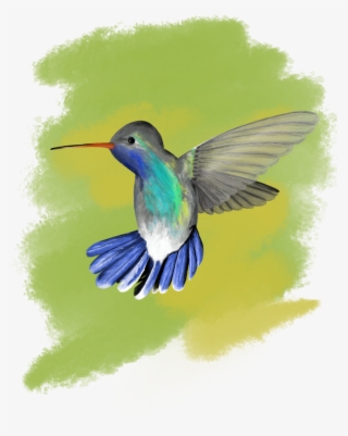 Digital Arts ©2018 By Mykola Vradnyk - Ruby-throated Hummingbird #8448759