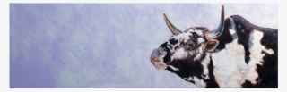 Wildebeest #8448839