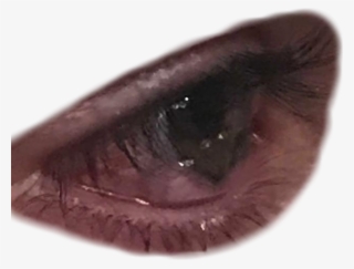 Report Abuse - Close-up #8449639