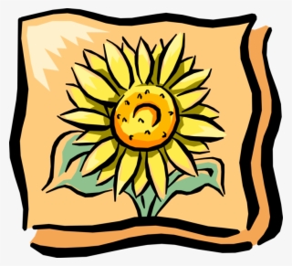 Vector Illustration Of Sunflower In Full Summer Bloom #8450523