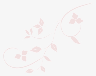 Pink Soft Decoration - Wallpaper #8453460