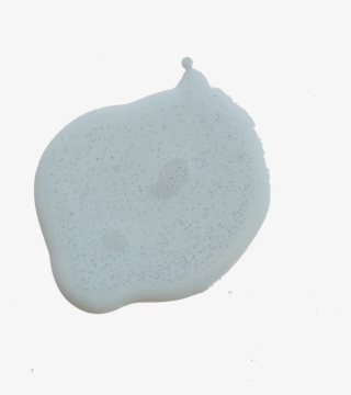 Shutter Gray Paint Drop - Squash #8453629