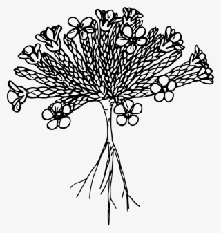 This Free Icons Png Design Of Alpine Saxifrage #8454267