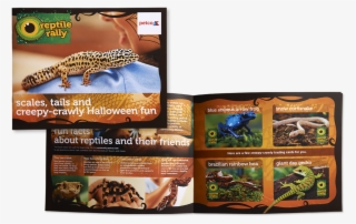 ↑back To Top - Gecko #8454426