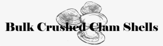 Bulk Crushed Clam Shells - Line Art #8454456