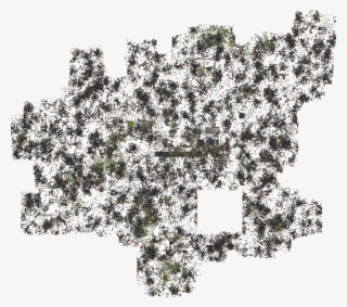 24 Am 4862006 Cogwheel Caves Current 4/30/2011 - Wisteria #8455018