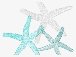 Fish Clip Art #8455167