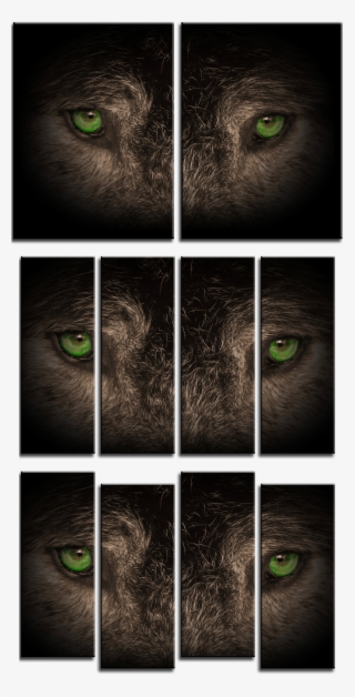 Wolf Eyes 2 And 4 Panel Canvas - Black Cat #8455688