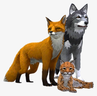 Start Your Adventure As A Wolf, Fox, Lynx And More, - Wildcraft Turbo Rocket Games #8455836