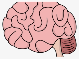 Brains Clipart Human Brain - Brain Clipart #8456749