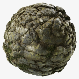 An Ever-growing Library - Igneous Rock #8456752