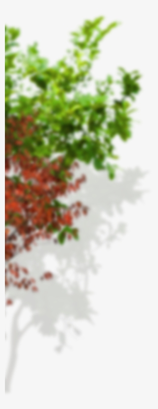 The Market - Allu Arjun Arya 2 #8457513