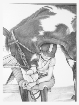 Horse - Mare #8457977