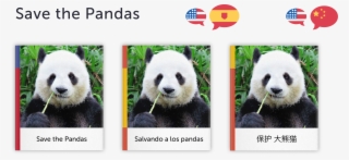 Click Here To Get "save The Pandas" - Panda #8458070