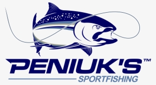 Create A Beautiful And Professional Fishing Logo Design - Sport Fishing Logo Design #8458288