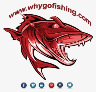 Why Go Fishing Logo - Illustration #8458334