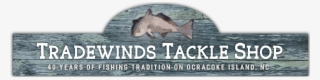 Tradewinds Tackle - Pacific Sturgeon #8458381