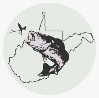 Designing A Logo For My Brother's Wv Fishing Website - Illustration #8458647