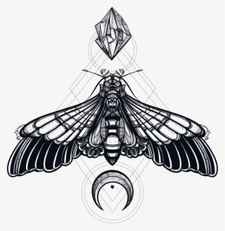 Butterfly Geometry Creative Insect Deaths Head Hawkmoth - Geometric Moth Tattoo #8459543