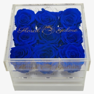 Blue Rose #8461067 Blue Rose #8461067