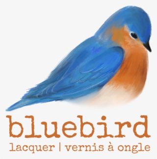 Eastern Bluebird #8461076