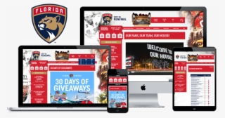 Season Ticket Renewal Site - Online Advertising #8461144
