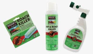 Control Strategy For Indoor Roaches - Mosquito #8463293 Control Strategy For Indoor Roaches - Mosquito #8463293