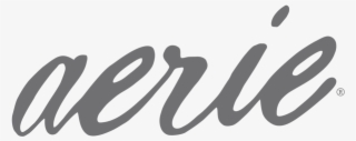 Aerie - Calligraphy #8464115
