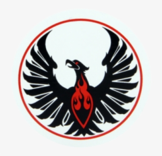Phoenix Pro Scooters Logo #8464245