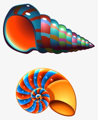 Seashell Conch Mollusc Shell Clip Art - Cute Seashell Clip Art #8464785