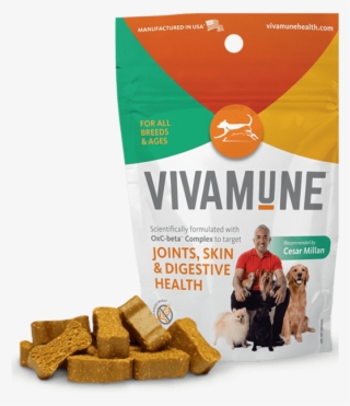 They Will Do Anything To Get A Tasty Chew - Health #8464898