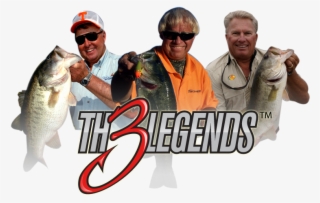 Three Legends #8465543