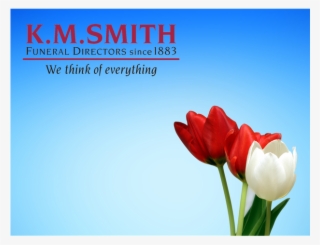 Matthews, Robert James &nbsp - Sprenger's Tulip #8466409