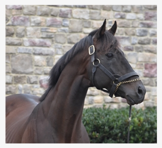 Calendar Of Events & Reminders - Girl #8466825