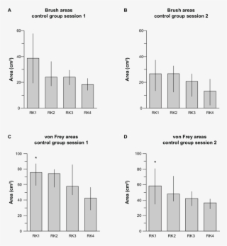 Brush And Von Frey Areas - Diagram #8470060