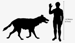 Canis Dirus Size - Dire Wolf Size #8473089