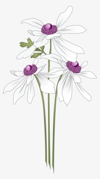 Http - //syedimranrocks - Blogspot - In/ Toolbar Creator - 花边 素材 #8473119