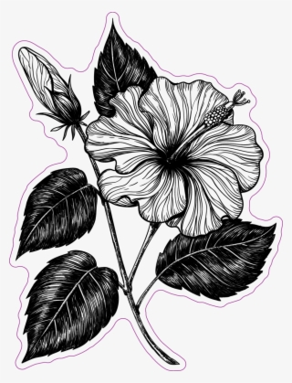 Hawaiian Flower Car Window Decals Stickers Png Hawaiian - Flower Drawing Ipad #8473415