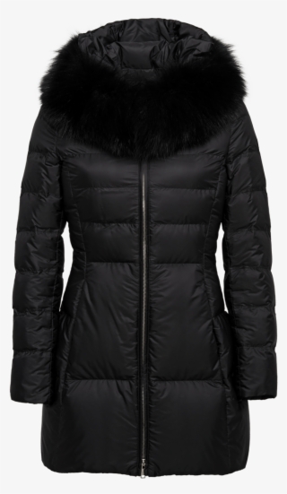 Fur Clothing #8474405