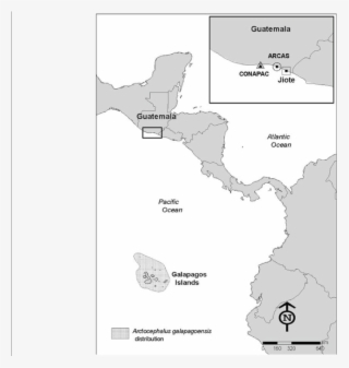 Location Of The Stranding Site, Rehabilitation Center - Atlas #8474690