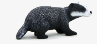 Badger Png, Download Png Image With Transparent Background, - Badger #8475028