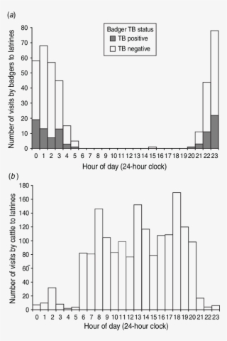 Timing Of Visits By Badgers And (b) Cattle To 13 Active - Diagram #8475792