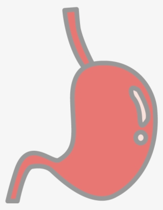 Stomach Free Icon Clip Art Illustration Material - Illustration #8477674