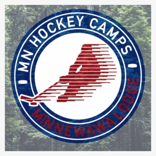 Minnesota Hockey Camps #8480352