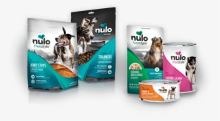 What Makes Us Different Makes Them Stronger - Flyer #8480675