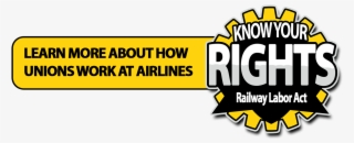 Picture - China Southern Airlines #8480897