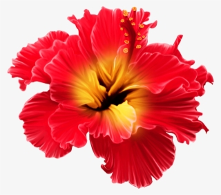 Фото, Автор Svetlera На Яндекс - Tropical Flowers Transparent Png #8481810