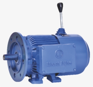 Crane & Hoist Application Motors #8482844