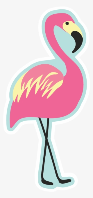 Acr138 - Greater Flamingo #8485262